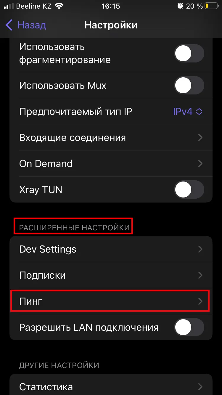 Пункт «Пинг» в расширенных настройках Happ